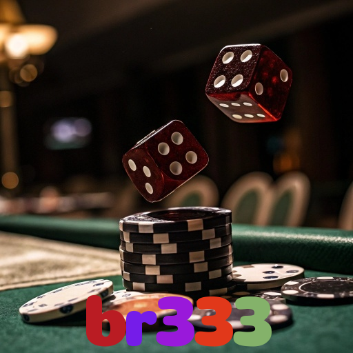 br333