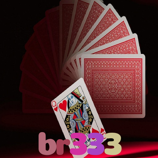 br333