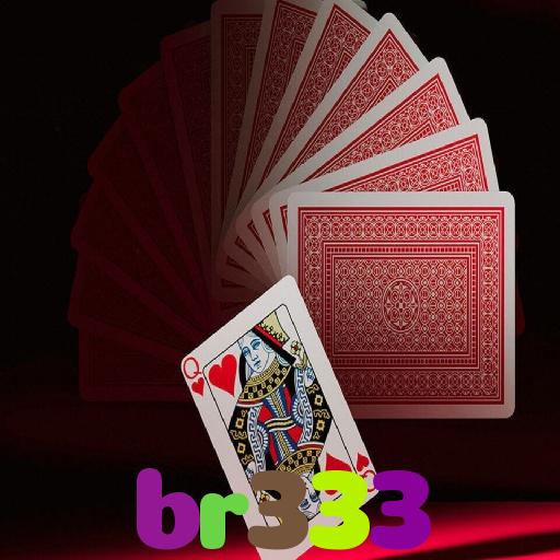 br333